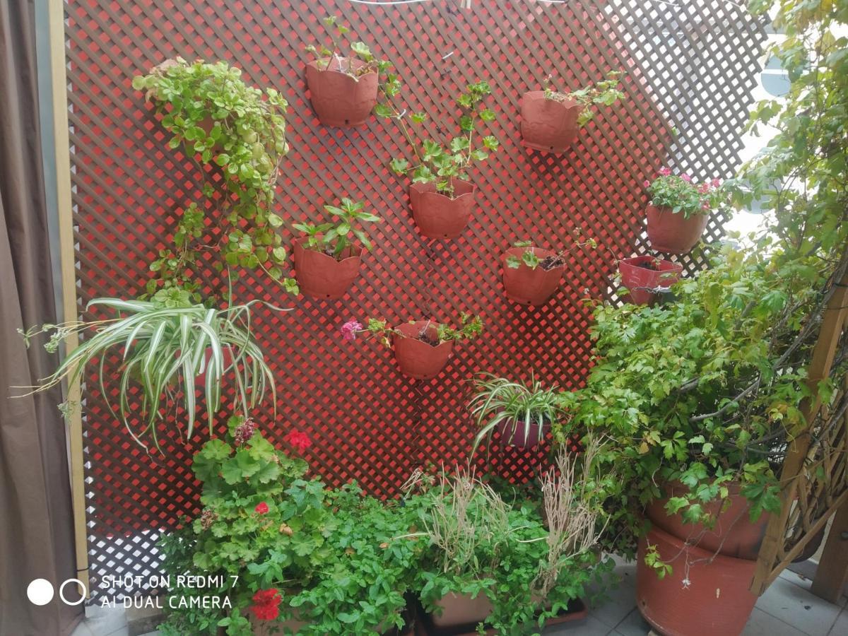 Habitacion Familiar En Un Atico Con Gran Terraza Y,Cocina ,En La Playa Burriana Luaran gambar